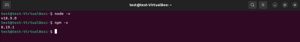 mengecek versi Node.js dan NPM yang baru diinstal