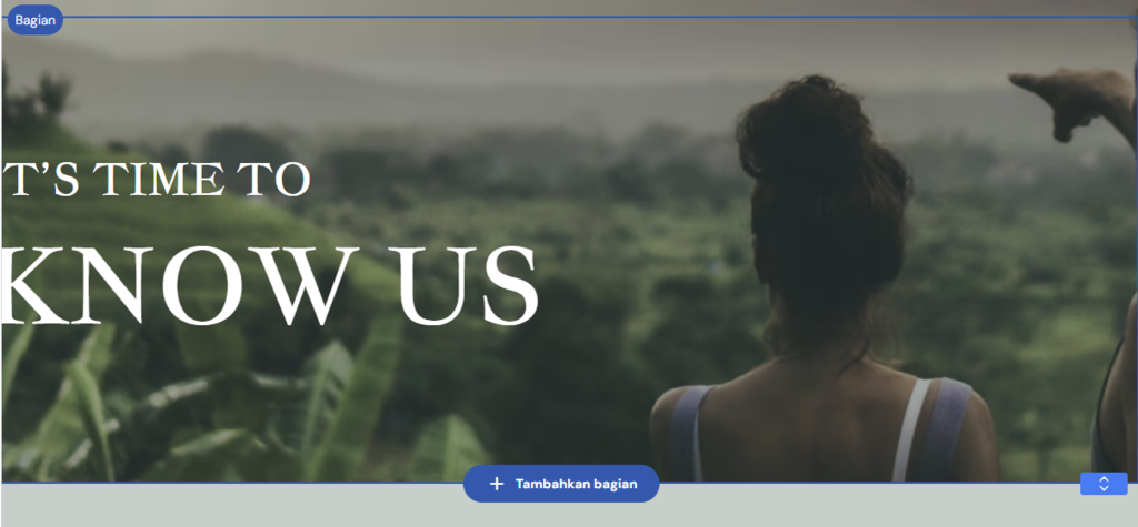 tampilan untuk menambahkan bagian di website builder hostinger