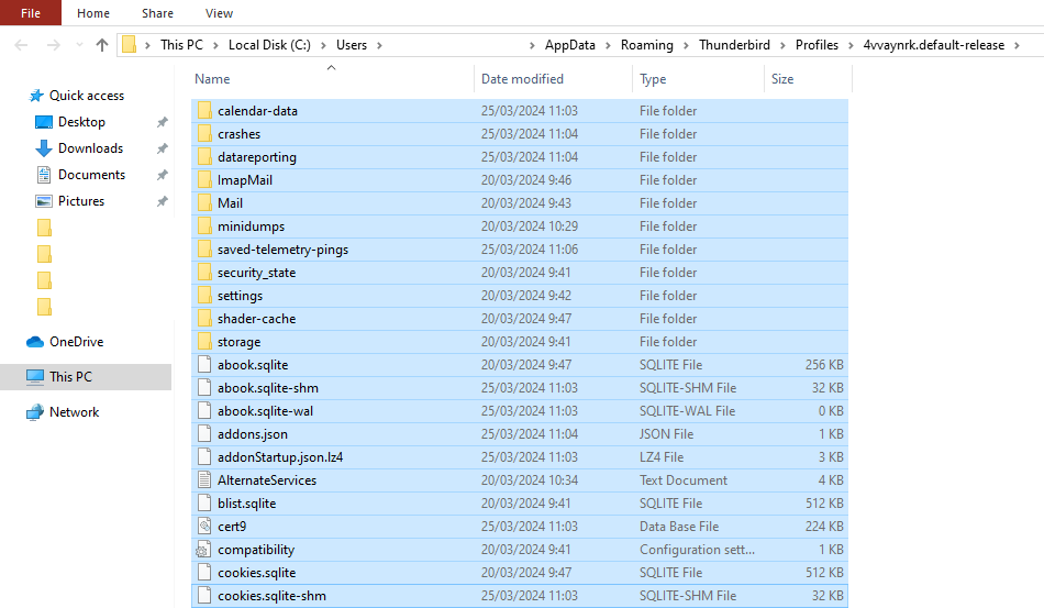 tampilan file explorer windows dengan semua file yang dipilih di folder profile