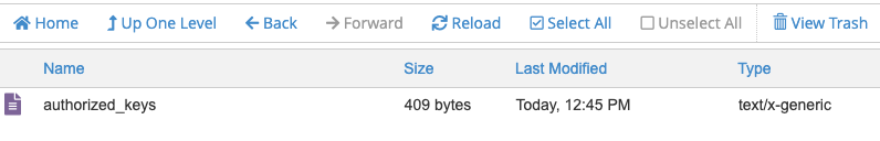 tampilan file authorized_keys di cpanel