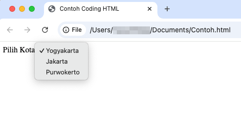 tampilan contoh drop-down kota yang dibuka di chrome