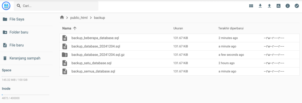 tampilan hasil backup database mysql dengan mysqldump di file manager hostinger
