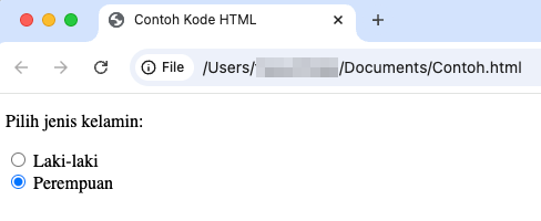 tampilan radio button di web browser google chrome