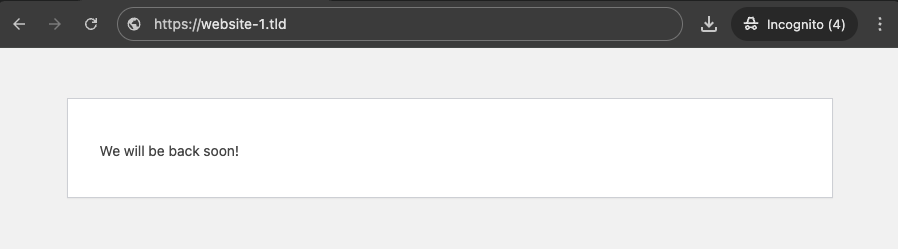 tampilan hasil whitelist ip dari plugin restricted site access