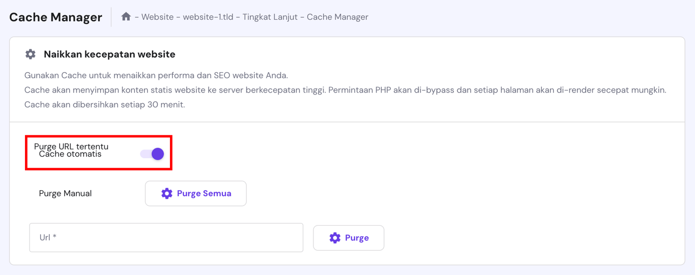 tampilan menu cache hpanel dengan opsi cache otomatis yang dipilih untuk mengatasi website lemot