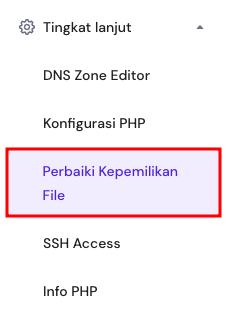 menu tingkat lanjut hpanel dengan opsi perbaiki kepemilikan file yang dipilih