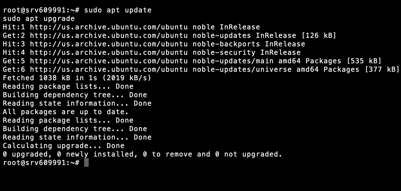 mengupdate package VPs sebelum menginstal Ollama
