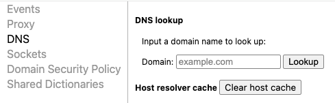 Pengaturan Chrome untuk flush DNS