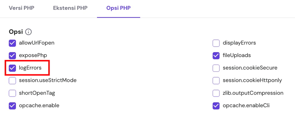 Bagian Opsi PHP di hPanel dengan pilihan logErrors yang dipilih
