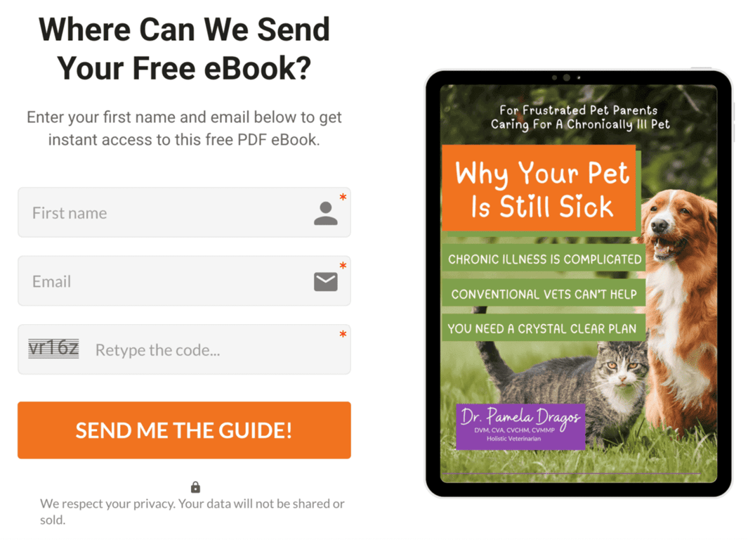 Formulir pendaftaran email newsletter di website dr. Pamela Dragos