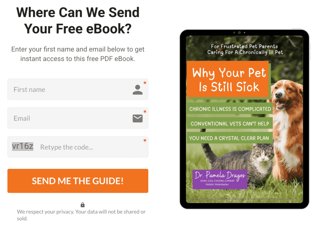 Formulir pendaftaran email newsletter di website dr. Pamela Dragos