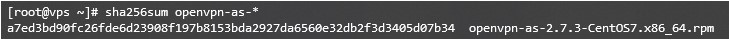 Se muestra el checksum 