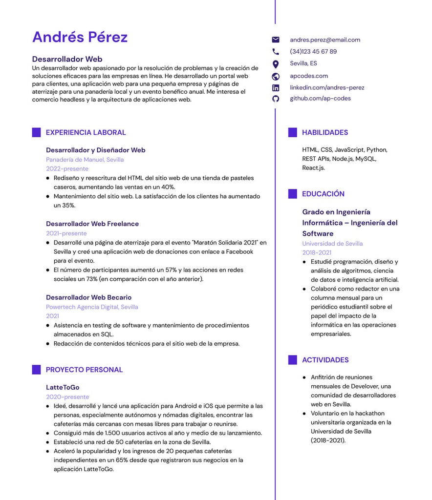 Ejemplo de currículum de programador web