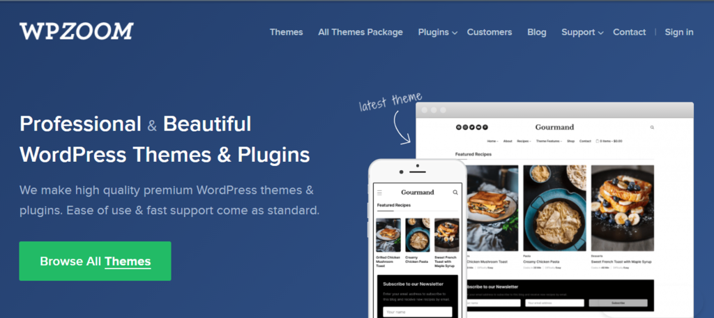 WPZoom banner