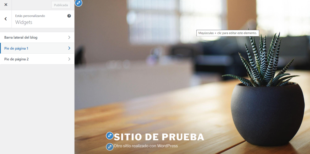 Opción para personalizar los widgets del tema.