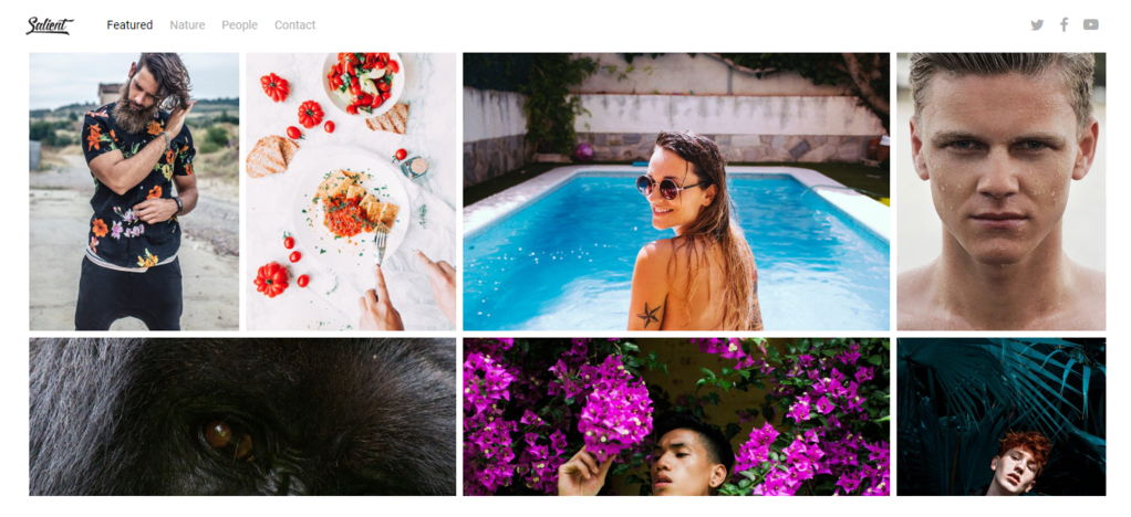 Plantillas de WordPress para fotografía Salient