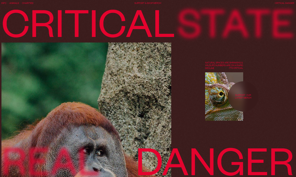 Sitio web Critical Danger