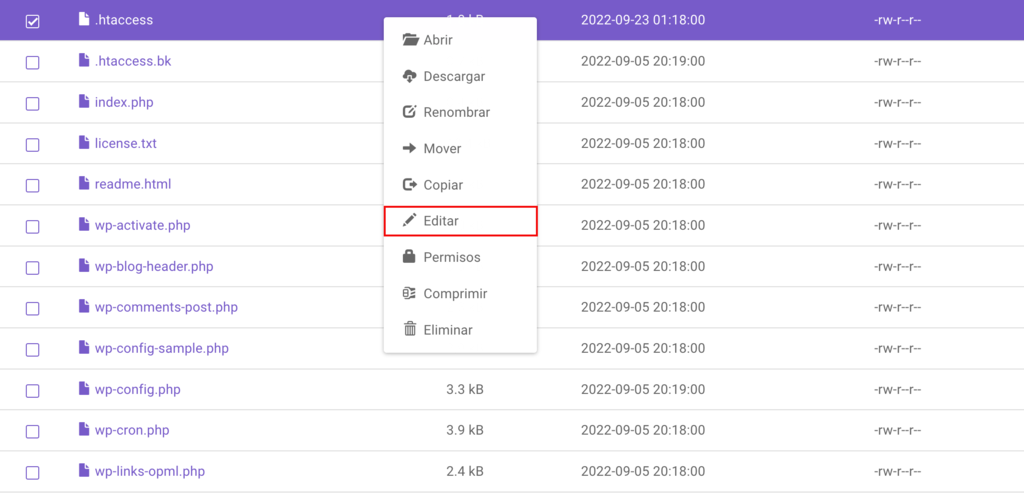 Editar carpeta .htaccess en hpanel