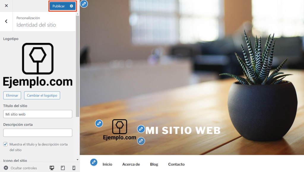 Opci&oacute;n Publicar del Personalizador de WordPress
