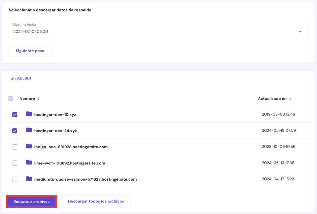 Secci&oacute;n de Copias de seguridad de archivos en hPanel