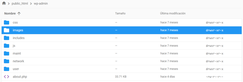 Directorio public_html del Administrador de archivos de hPanel