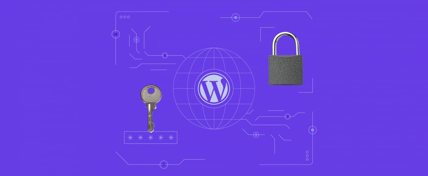 WordPress January Roundup: Security Updates and WordPress 6.5 Early Test
