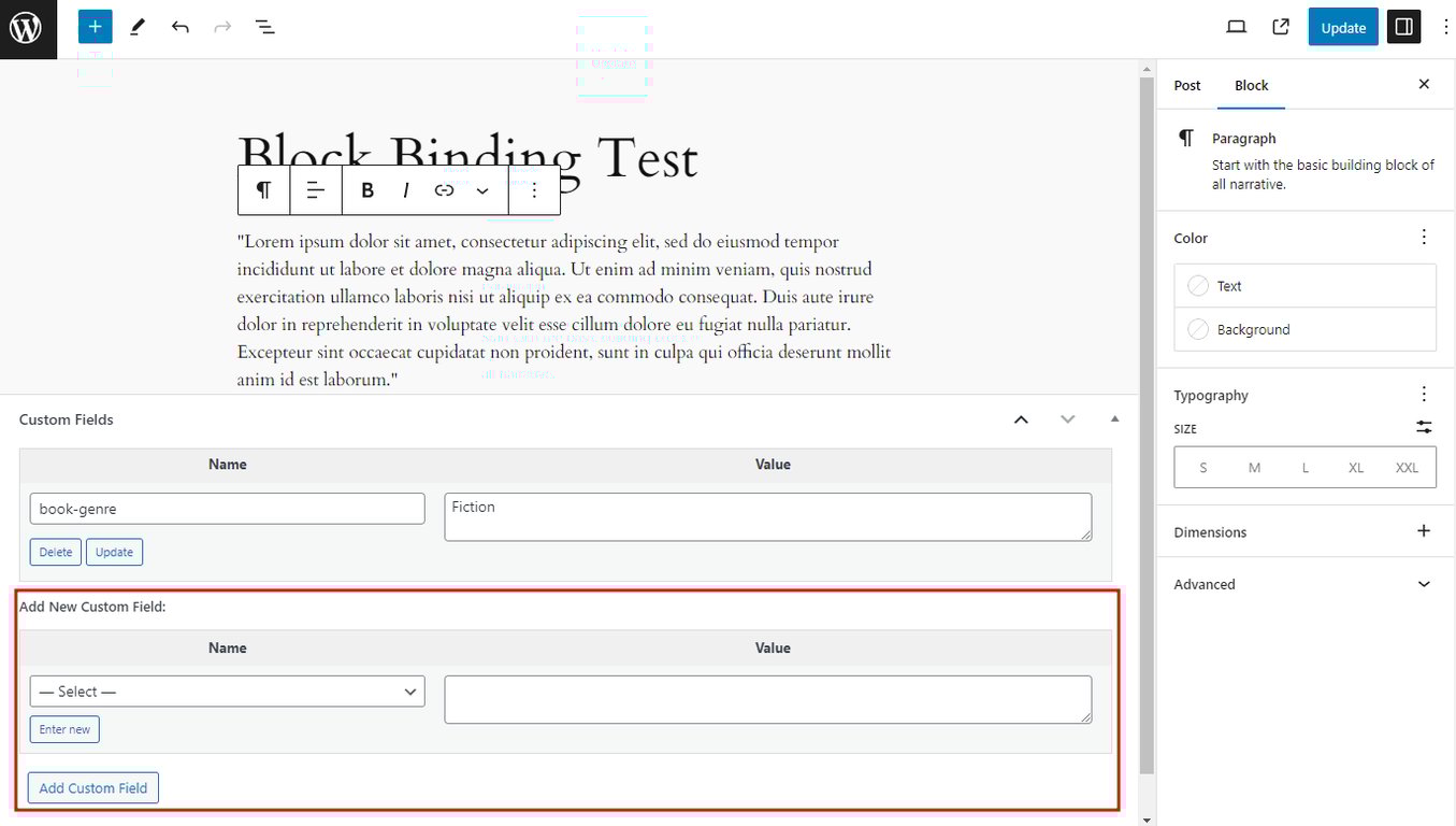 The post editor interface, with the Add New Custom Field section highlighted