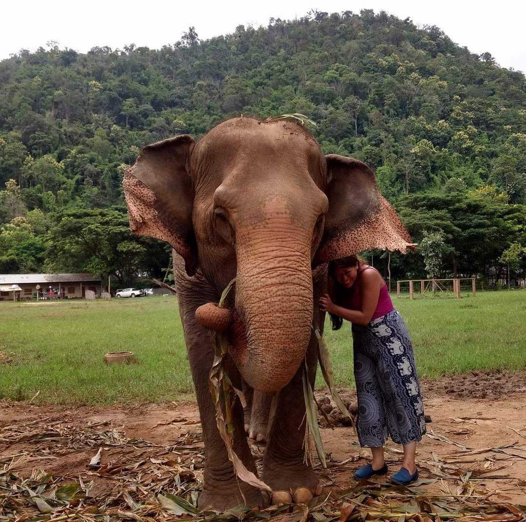 Luz Celeste next to an elephant