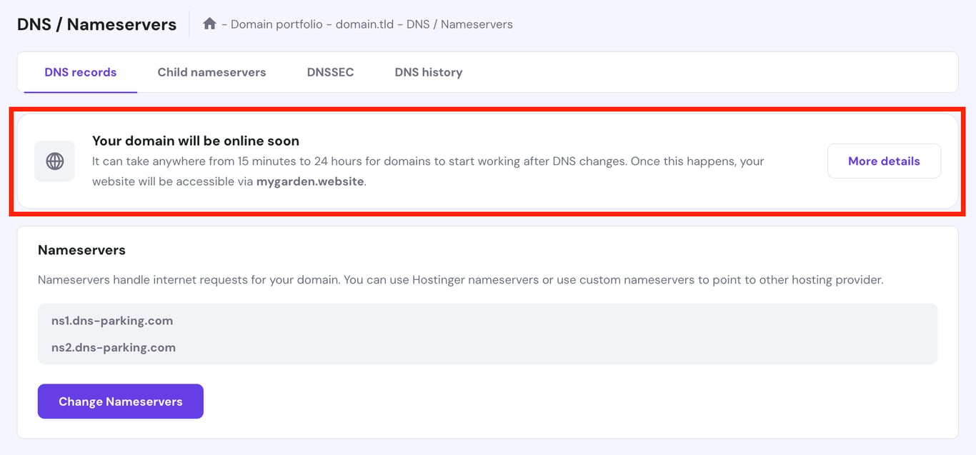 DNS / Nameservers dashboard now shows DNS propagation status. 