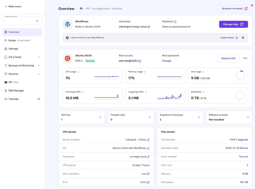Overview dashboard in VPS hosting.