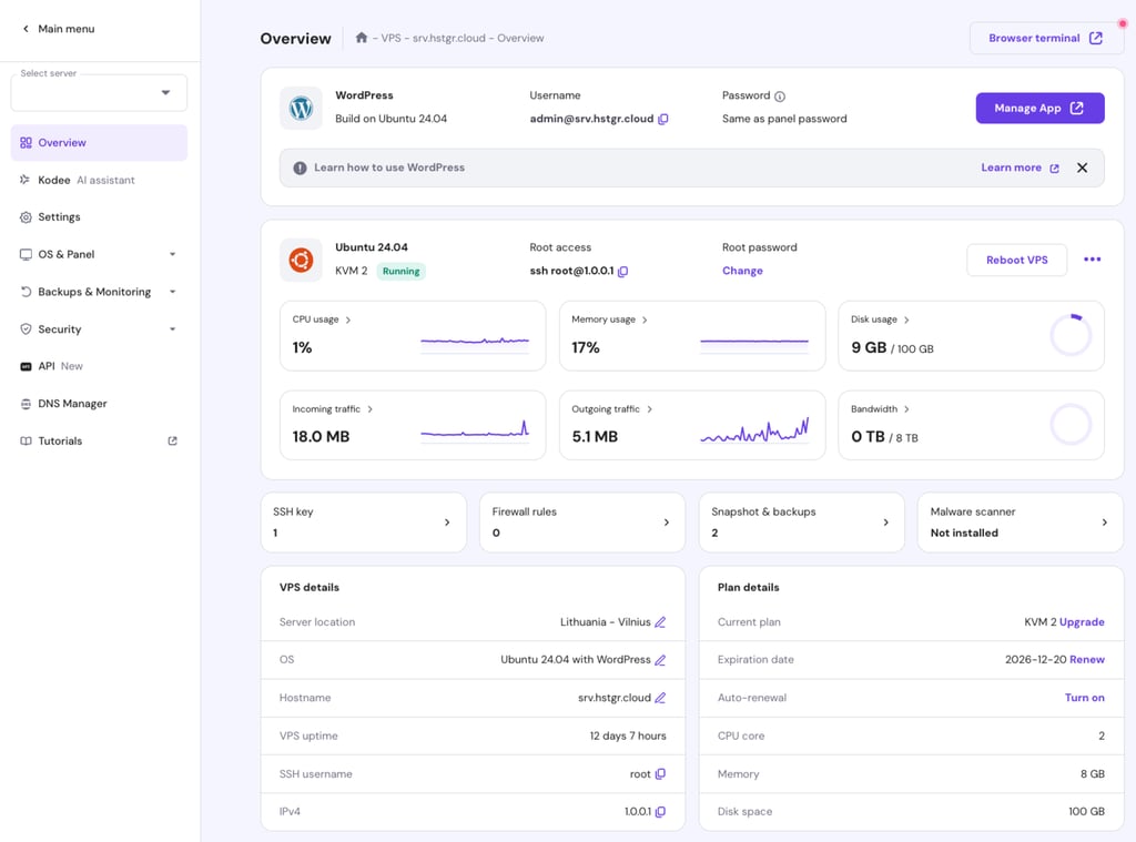 Overview dashboard in VPS hosting.