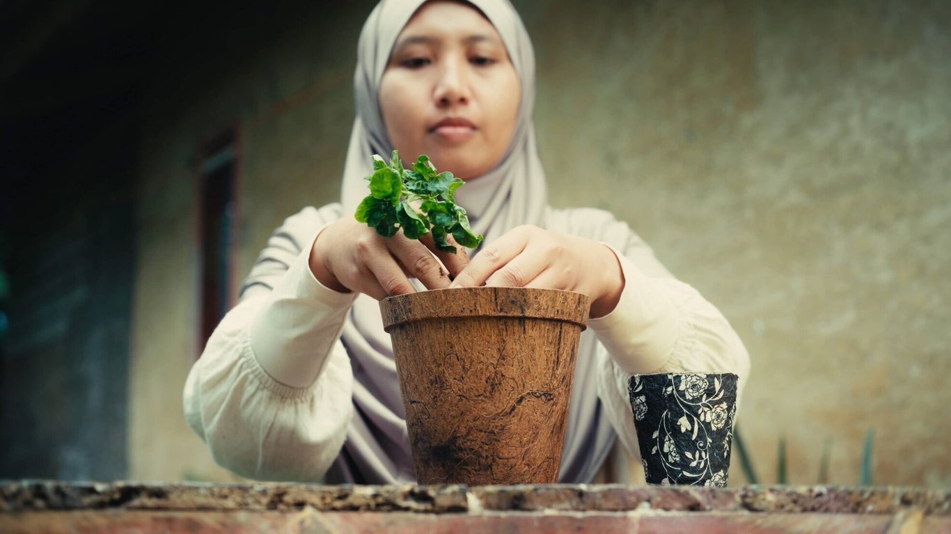 Azifah planting in a pot