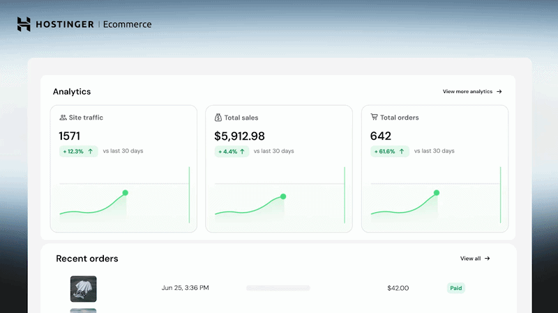 Hostinger Ecommerce sales dashboard illustration