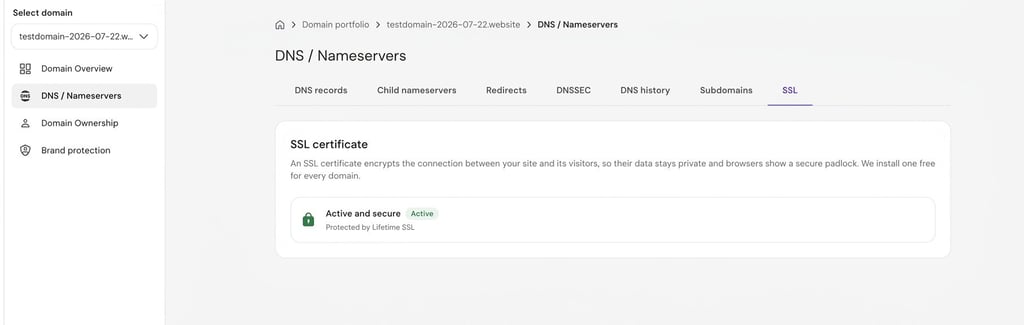 The new SSL status on the Domain page