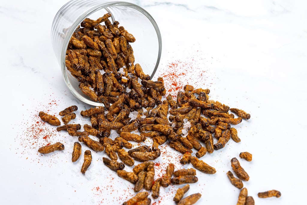 Cricket snack, one of TASTIK's products