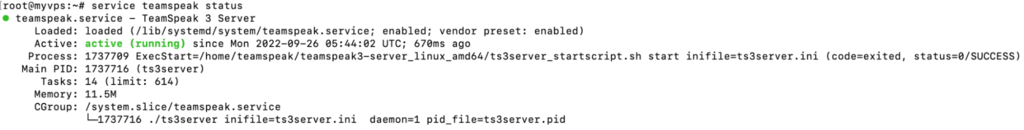 Uso del comando service teamspeak status