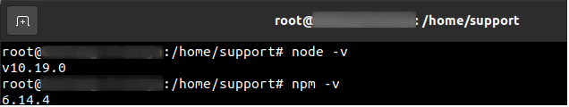 Comandos para verificar la versi&oacute;n de node.js
