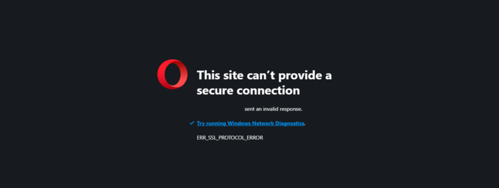 Visualización del error en Opera