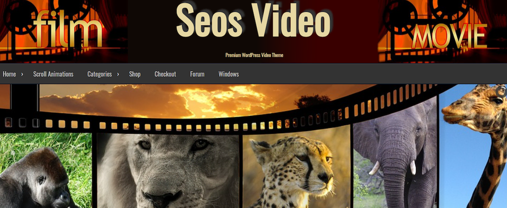 Tema de WordPress Seos Video