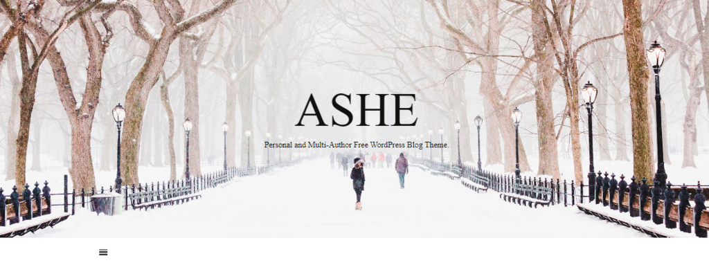 Plantilla para WordPress Ashe