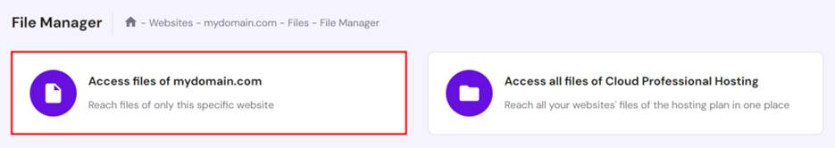 hPanelのファイルマネージャー機能、特定のWebサイトのファイルにアクセスするオプションをハイライト表示
