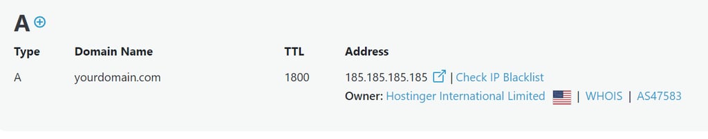 A record value of a domain name in a DNS lookup tool