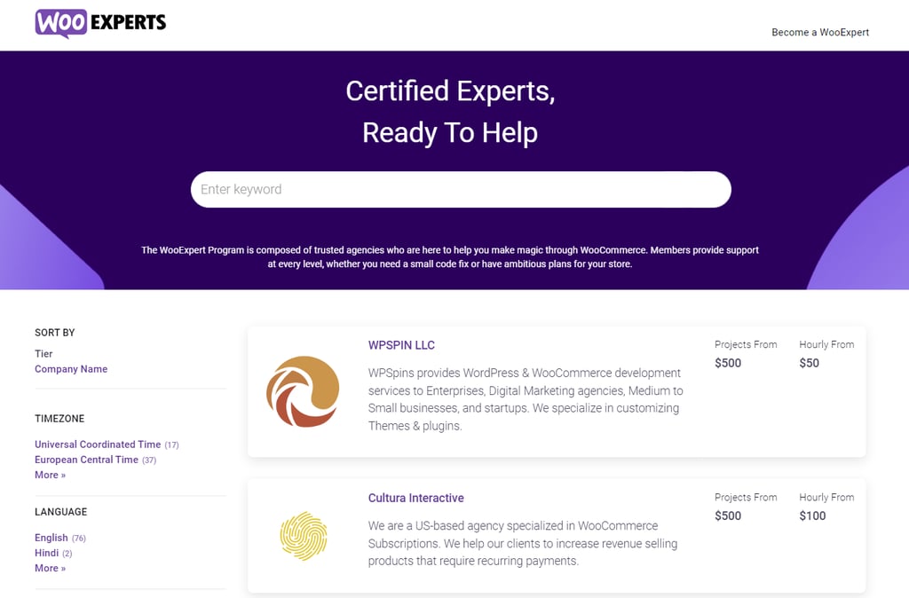 WooExperts homepage