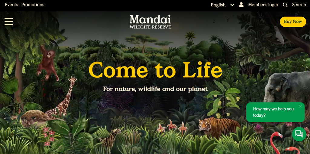 Mandai homepage