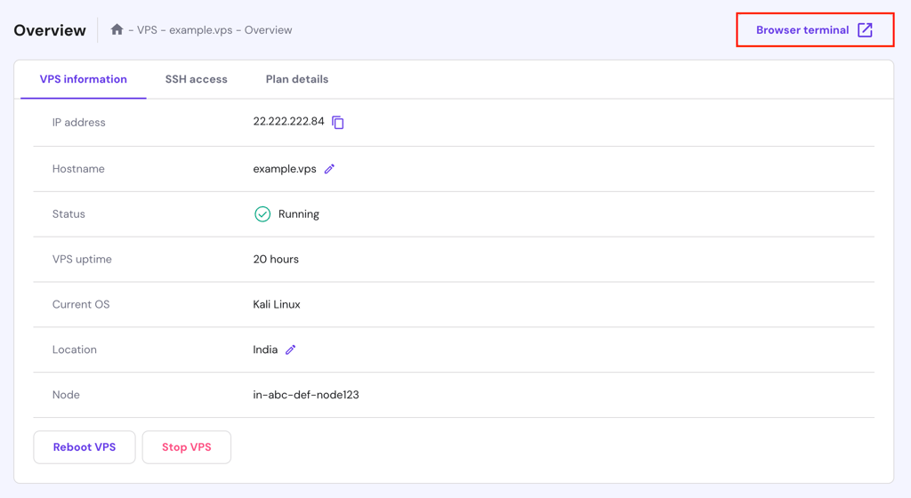 The Browser terminal button in hPanel's VPS
