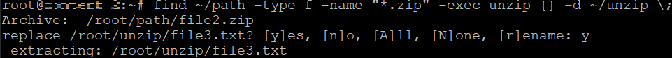 The unzip and find command combinations