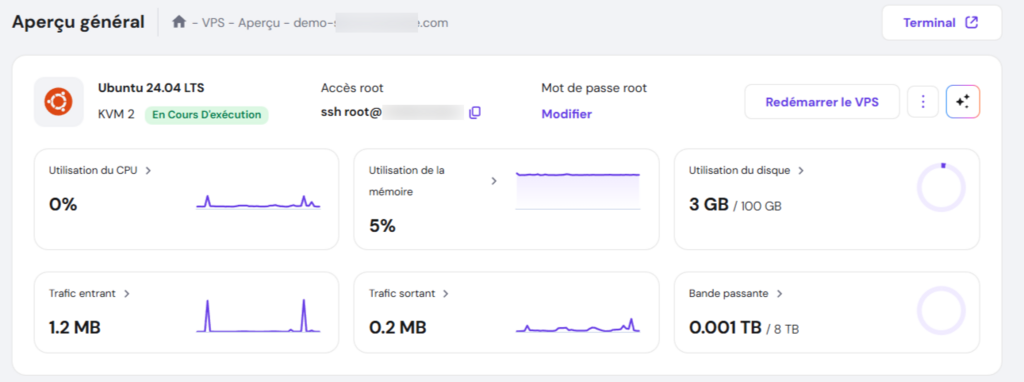 la section Aperçu général de hPanel