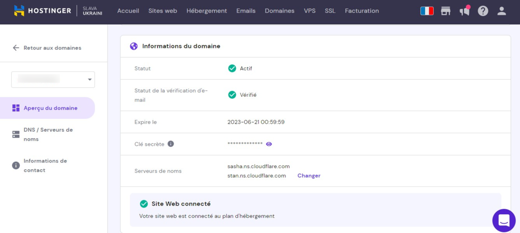 section aper&ccedil;u du domaine sur Hostinger