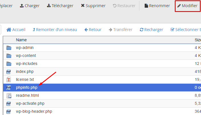 Recommandations GTmetrix pour optimiser le site WordPress
