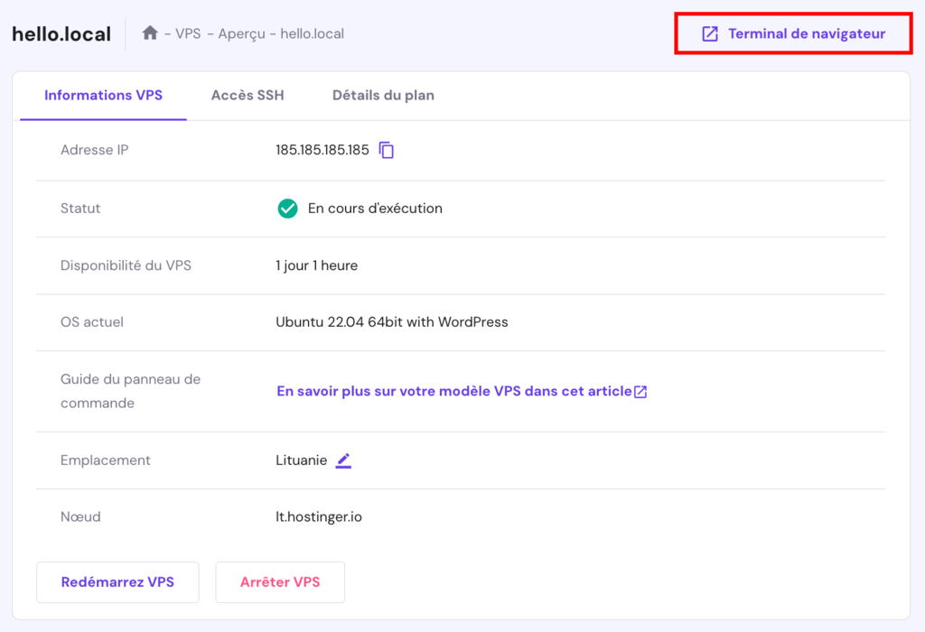Le bouton terminal du navigateur sur hPanel